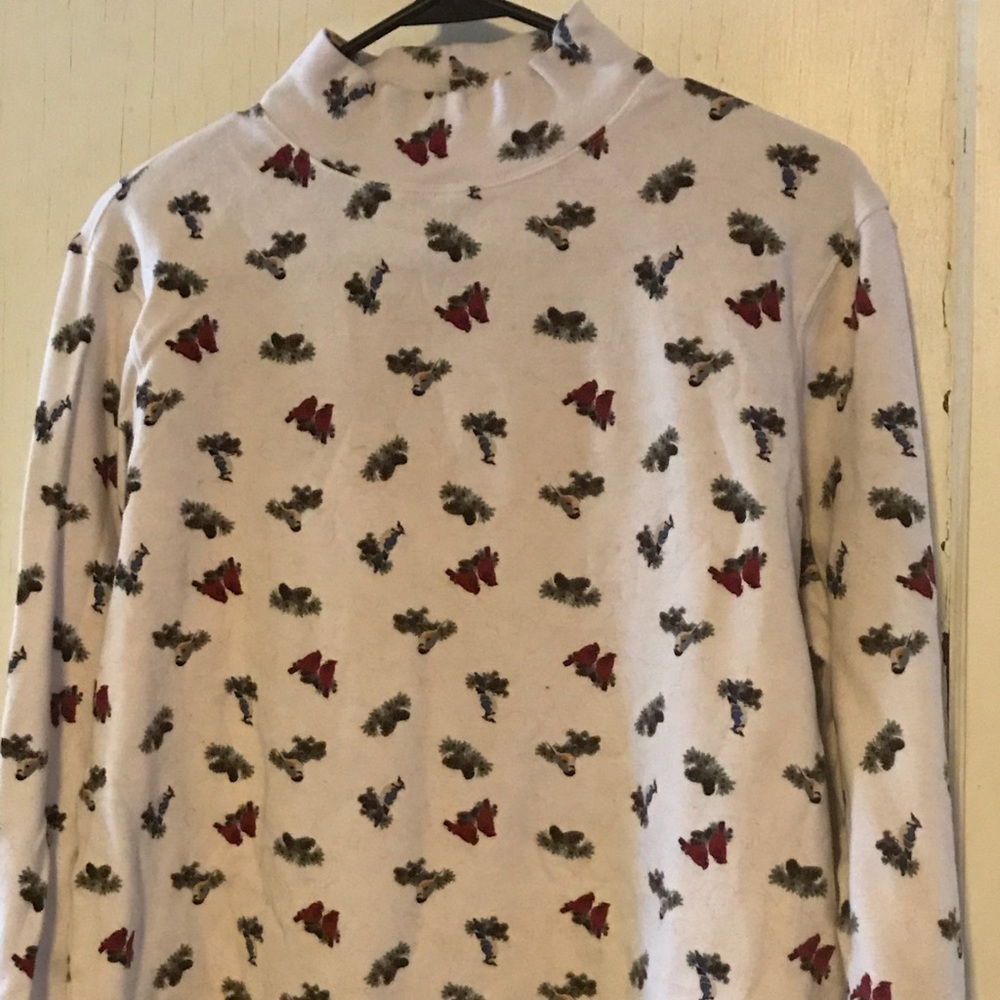 Croft & Barrow turtleneck